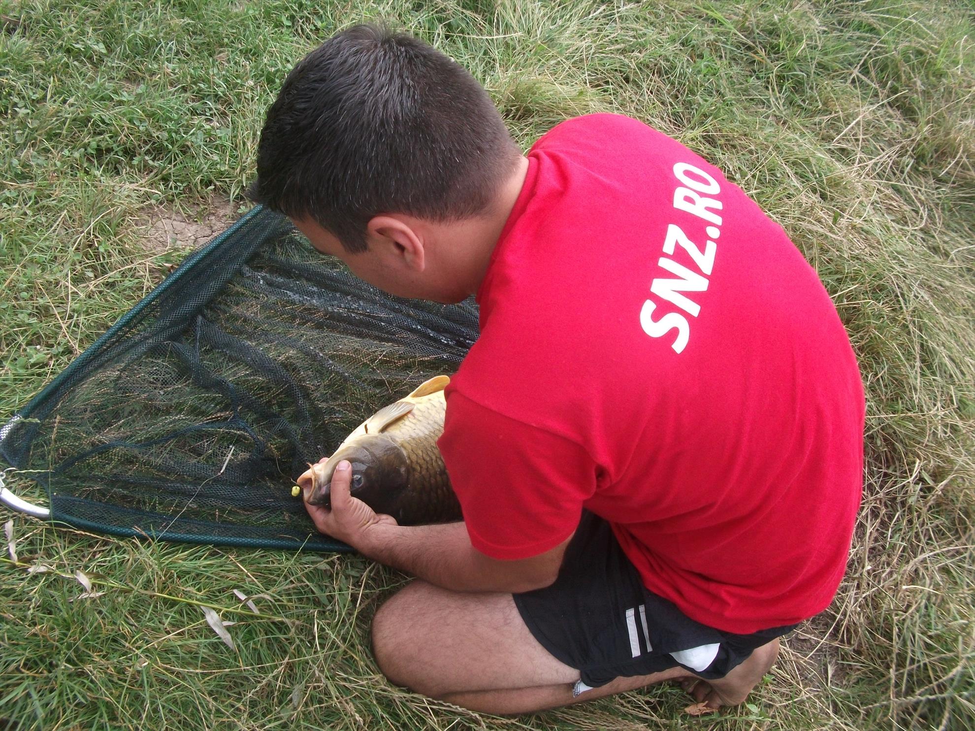 Walter - dscf0580.jpg